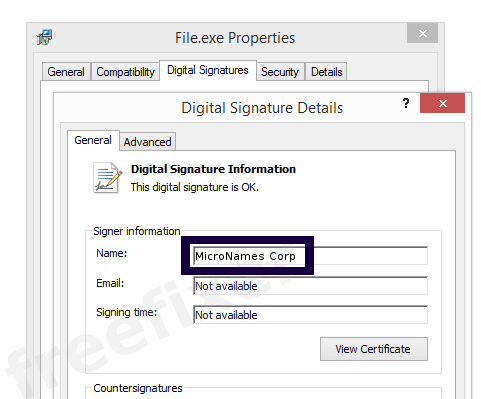 Screenshot of the MicroNames Corp certificate